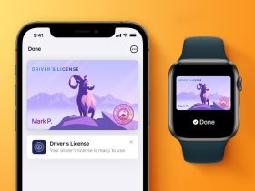 California's Digital IDs Apple Wallet to Simplify Essentials with Driver's Licenses and IDs